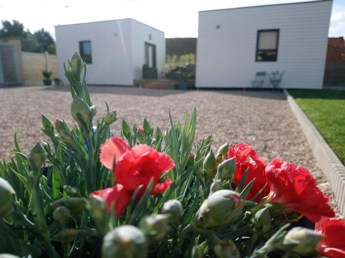 Au Cap Norwoe Bed & Breakfast Saint-Quentin-en-Tourmont Eksteriør bilde